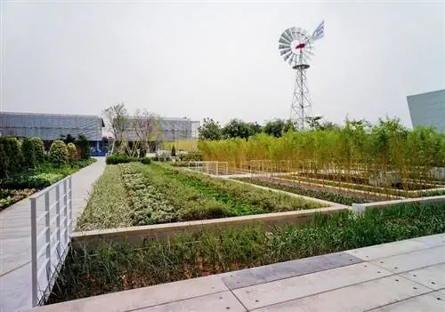 твердый дренаж