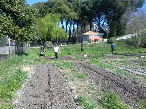 Экологический сад