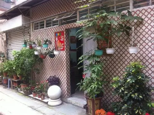 терраса с растениями