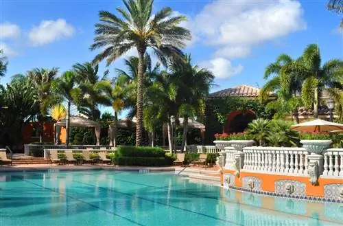 Как сделать сад с пальмами