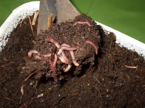 натуральное удобрение