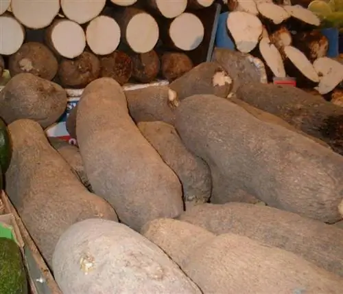клубни