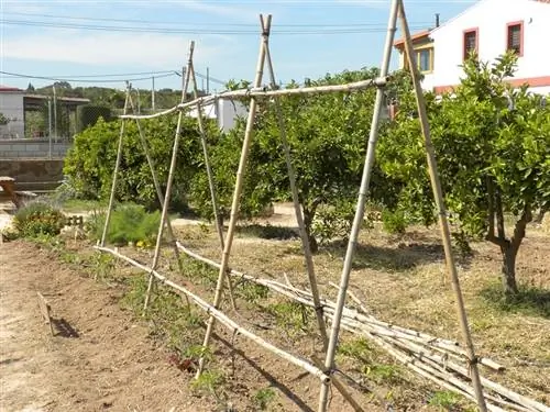 Заинтересованная сторона в саду