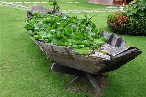 Изображение - Garden.lovetoknow.com