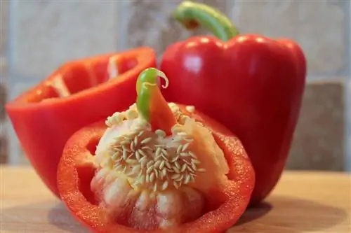 paprika_seeds