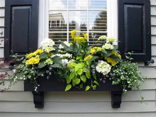 Зачем украшать растениями
