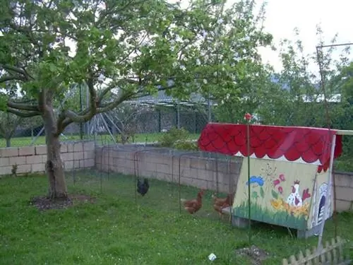 картина картина
