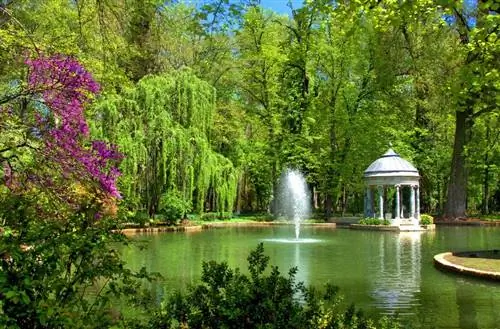 картина картина