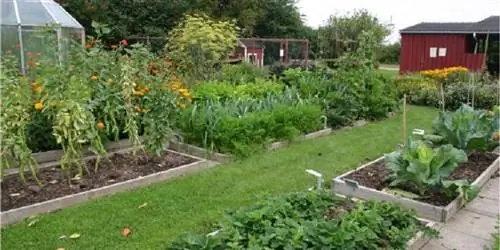 сады севооборота