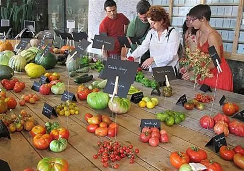 Органические семена теперь можно найти в любом магазине