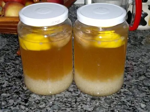 Приготовление водного кефира