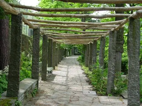 Как украсить перголу?