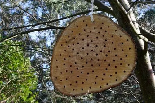 укрытие для пчел