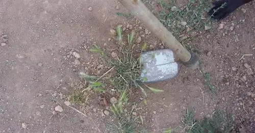 убрать траву мотыгой