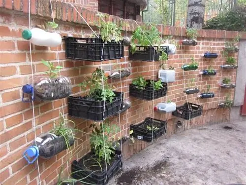 наслаждайтесь городским садом