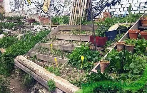 Городские домашние сады