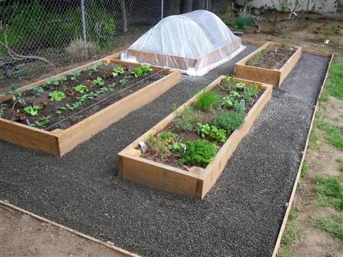 домашний сад с гравием