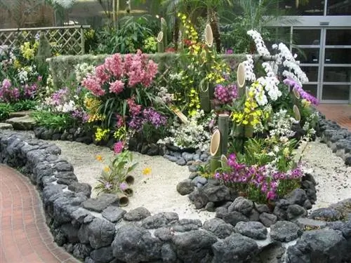 Растения в углу с гравием