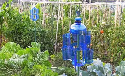 система домашнего риска