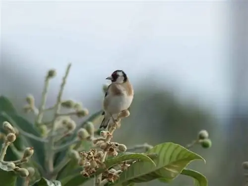 разные поговорки месяца май