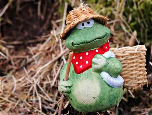 Советы по началу работы в саду