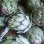 Артишоки, очень полезные овощи