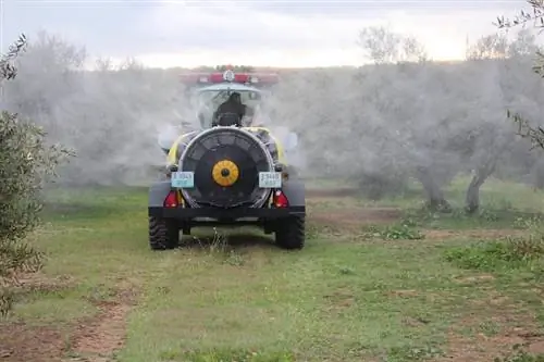 удобрение оливковых деревьев важно