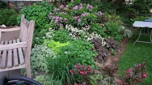 Сад с низкими растениями