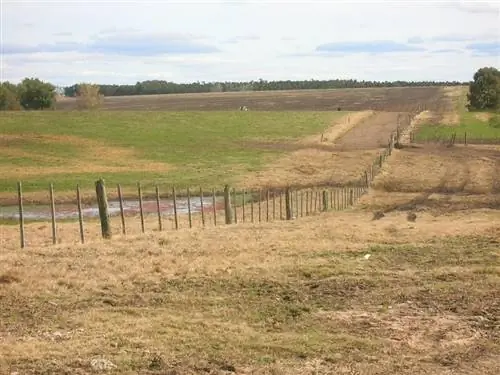 смешанные почвы