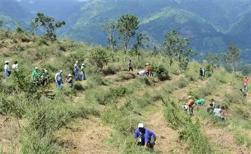 Сохранение почв имеет жизненно важное значение