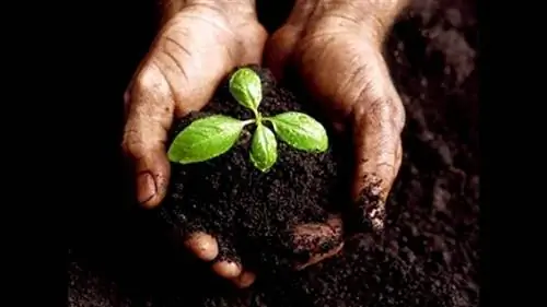 химические характеристики почвы изменяют рН