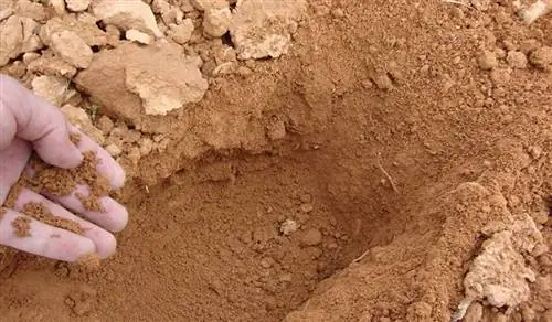 песчаные почвы