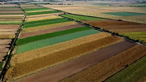 Характеристики и типы почв