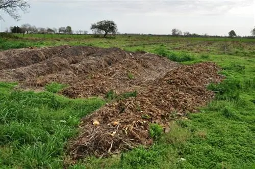 Виды удобрений для земли