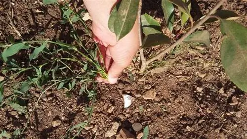 удаление травы