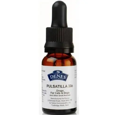 pulsatilla используется для лечения болезней