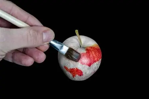 рисовать фрукты и разные яблоки