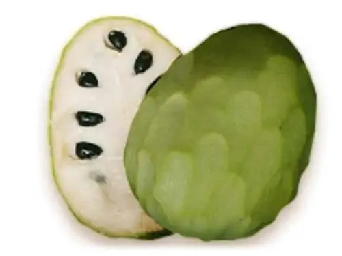 заварное яблоко