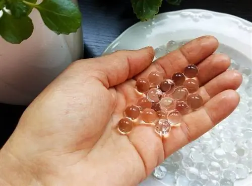 Что такое гидрогель