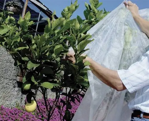 Монтаж антифризной ткани