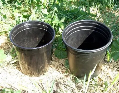 пластиковые горшки для растений