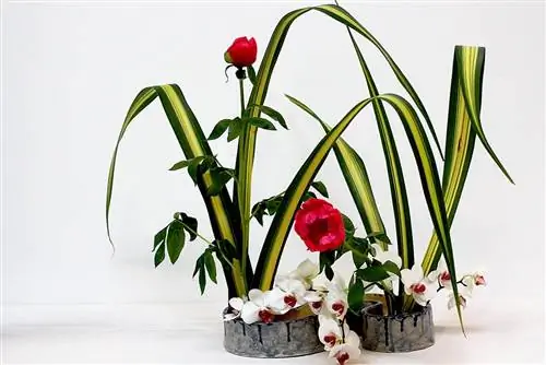Икебана, самое вдохновляющее цветочное искусство