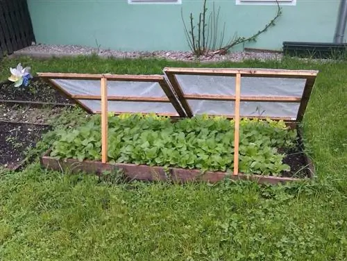 холодная грядка для овощей