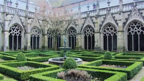 Живые изгороди низкие во французском саду