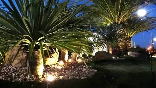 Контраст света, теней, а также цветов