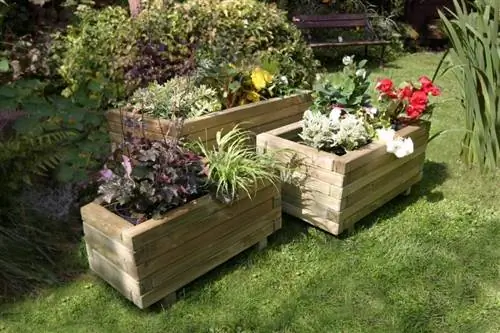 Растения в деревянных горшках