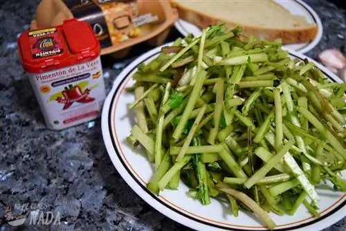 тагарнины на кухне