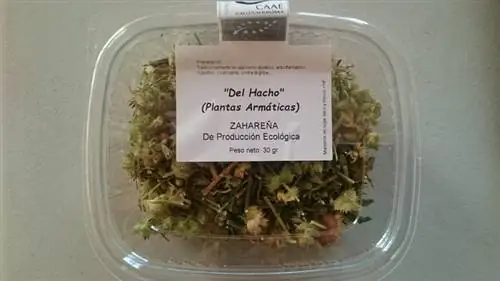 настои захарены