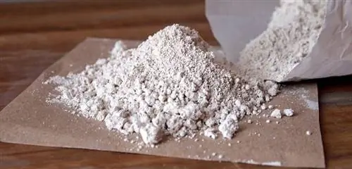 Диатомовая земля, очень эффективное домашнее средство от вредителей