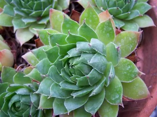 Характеристики